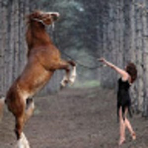 Meet your Posher, Nancy